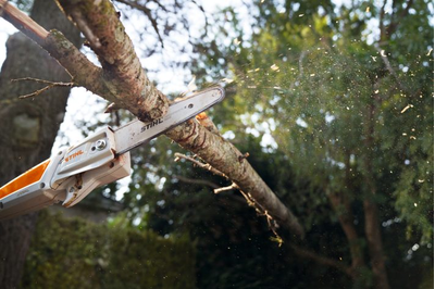 высоторез Stihl HTA 50