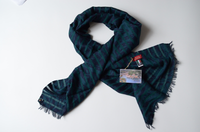 Vizio Италия 6201 зеленый шарф зеленый из шерсти и хлопка фото