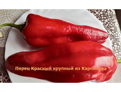 Перец сладкий Красный крупный из Карпинска (назв. условное)