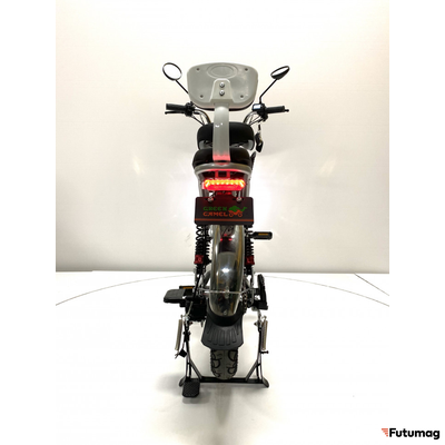 Электровелосипед GreenCamel Транк Монстр PRO (R16FAT 800W 60V20Ah) гидравл. тормоз