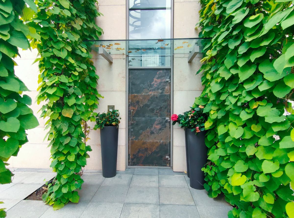 подвесные стеклянные козырьки