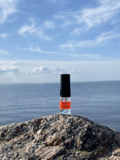 Духи НОТА: БРУТАЛЬНАЯ 2,5 мл