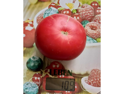 Томат Чупа чупс красный (Chupa Chups red, USA)