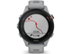 Garmin Forerunner 255S Powder Gray (010-02641-02)