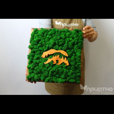 ЖИВАЯ ЭКО-КАРТИНА 1028