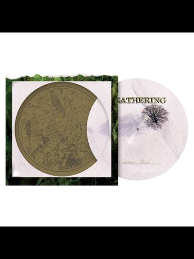 The Gathering - Nighttime Birds LP Picture