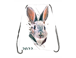 Сумка-мешок для обуви год Кролика №13