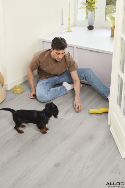 Ламинат Berry Alloc Ocean Plus Блум Серебристо-Серый 2498