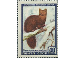 1913. Фауна СССР. Баргузинский соболь