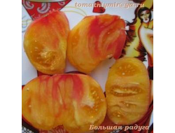 Томат Большая радуга (Big Rainbow, США)