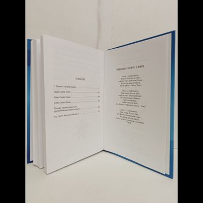 Лгало... и Подлыгало. Ведь и наш Бог не убог, или Кое-что о казачьем Спасе. Том 5.