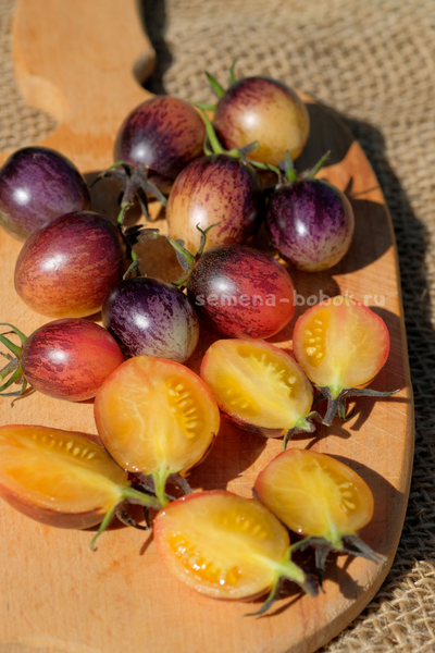 Томат Любушка, 10 шт