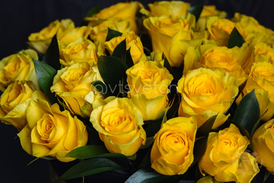 Композиция 10