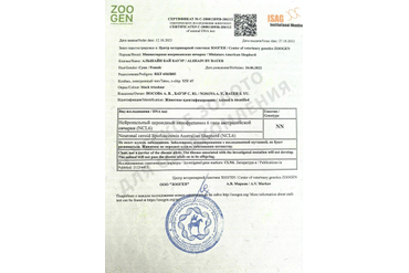 Аля. Тесты на генетические заболевания