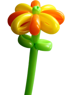 №502Ромашка большая