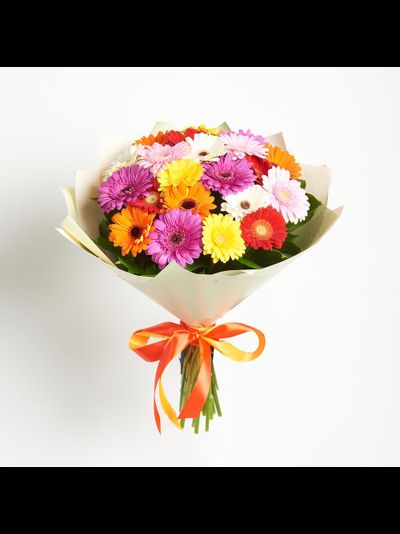 21 мини гербера