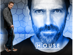 Атрибутика Доктор Хаус, House, M.D