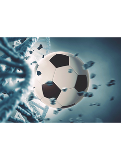 Фотообои Симфония "Гол!"