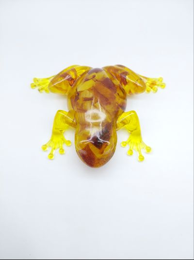 Денежная лягушка со срезом янтаря