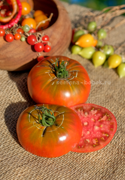 Томат Cowboy (Ковбой), 10 шт
