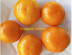 Томат Сладкий Солано (AAA Sweet Solano)