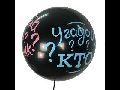 Гендер Шар, 91см