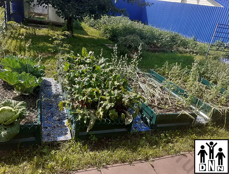 Дорожки для грядок между грядка