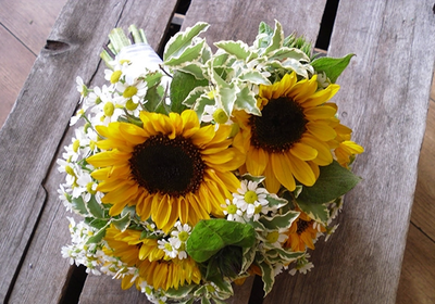 "Сныть декоративная" силиконовый молд (вайнер)