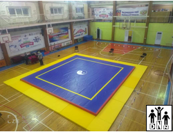 Помост для ушу саньда