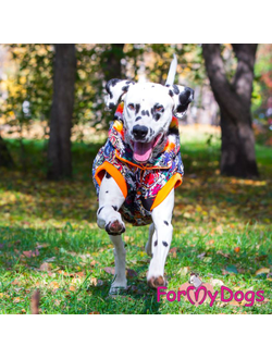 КУРТКА ТИГР СИНЯЯ