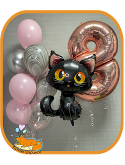 Кошка, цифра и 10 шариков