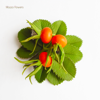 Брошь "Ягоды шиповника".