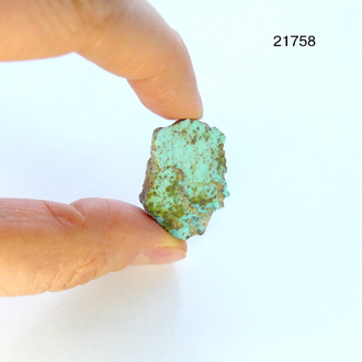 Бирюза натуральная (горбушка) Казахстан арт.21758: 5,9г - 26*19*10мм