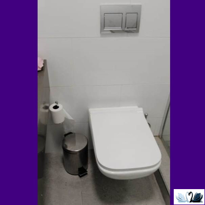 Унитаз подвесной Geberit Renova Plan 202170000, безободковый