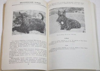 Каталог II городской, IX областной и клубных выставок служебно-спортивных и комнатно-декоративных пород собак. Пермь: Пермское обл. общ. любит. собаководства. 1984.