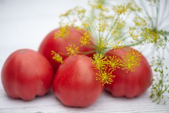 ROSE TOMATO (Розовый томат)