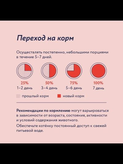 Florida (Флорида) влажный корм (пауч) для котят, кусочки с говядиной и морковью в желе 85 г