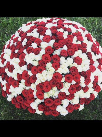 Микс из 201 розы в корзине