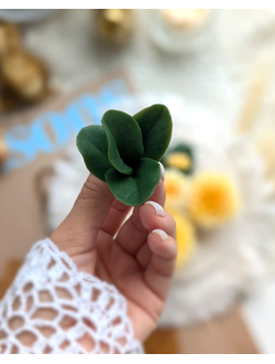 Листики хризантемы