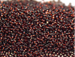 Toho 15/0 0025D Silver-Lined Garnet / Прозрачный гранат с серебряной линией внутри