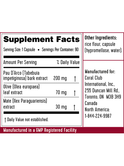 КОРА МУРАВЬИНОГО ДЕРЕВА С МАТЕ