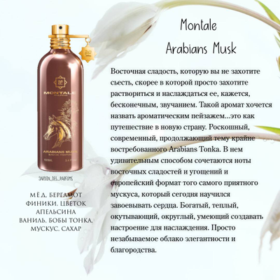 Сет "Новинки февраля"