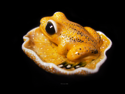 Мини-брошь "Притягивающая солнечный свет", украшение с лягушкой