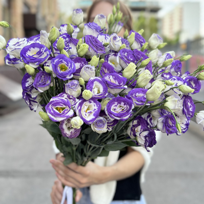 25 веток эустомы (цвет на выбор)