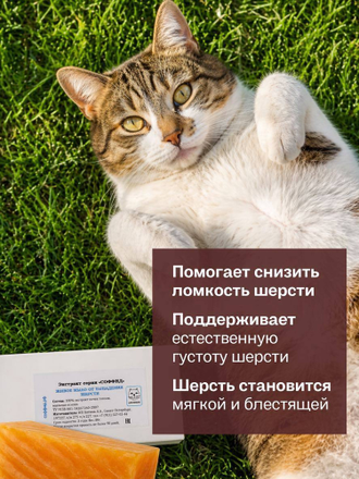ТВЁРДОЕ МЫЛО ПРИ ВЫПАДЕНИИ ШЕРСТИ КОШЕК, 80 гр
