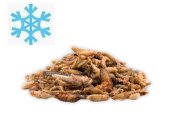 Микс насекомых