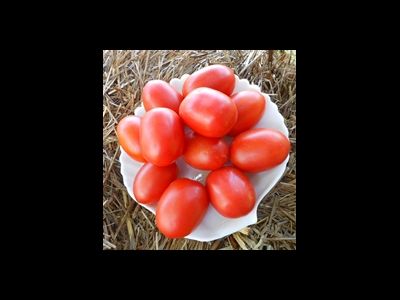 Томат Мархотская кисть (Мархотское гроно)