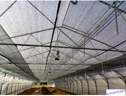 Подвес белый с микродождевателем / фоггером (6мм Н), с клапаном "антикапля", 50 см (зеленый) 26,0 л/ч