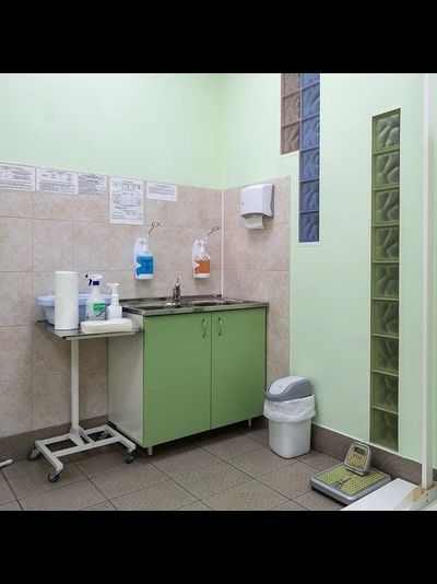 Стол-мойка медицинский лабораторный СМ-02 (исп.3)