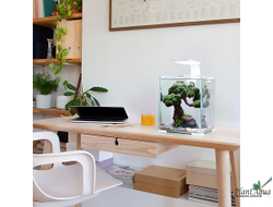 Аквариум AQUAEL SHRIMP SET DAY&NIGHT 10л, 20х20х25см белый